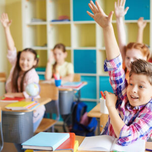 Success Criteria 2: Practical Ideas