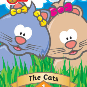 Phonics and Guided Reading: What are Decodable Texts? (30 Minutes)