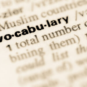 Vocabulary Bundle [3 Modules, 90 Days]