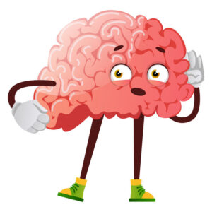 Phonics 11: Phonics Retrieval Practice (195 Minutes)